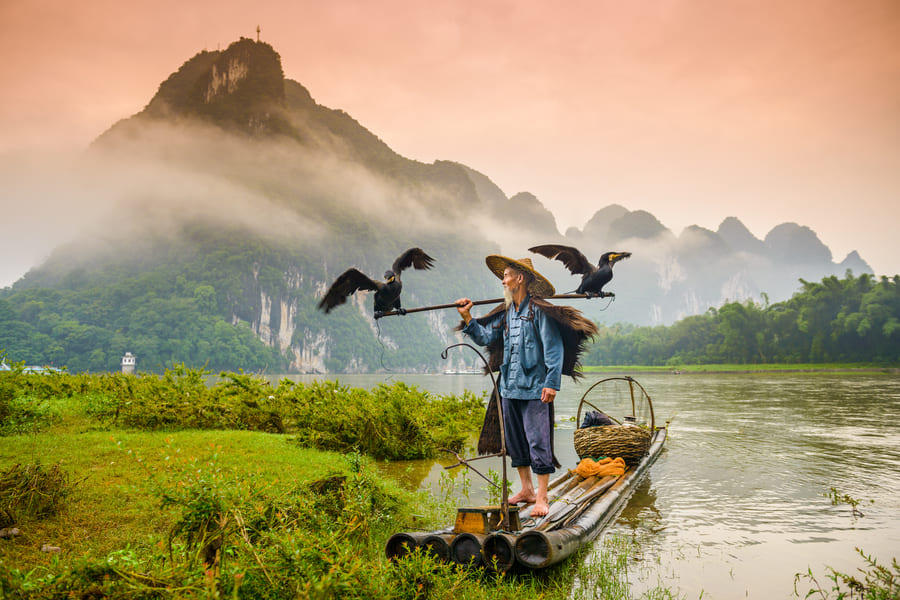Cormoran en Yangshuo con atardecer de fondo
